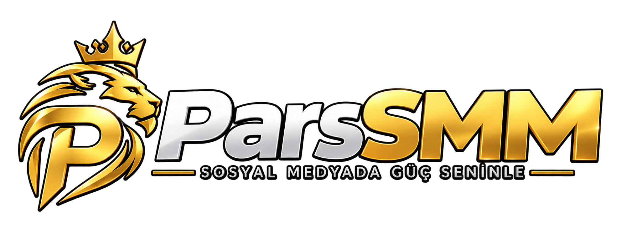 ParsSMM ParsSMM